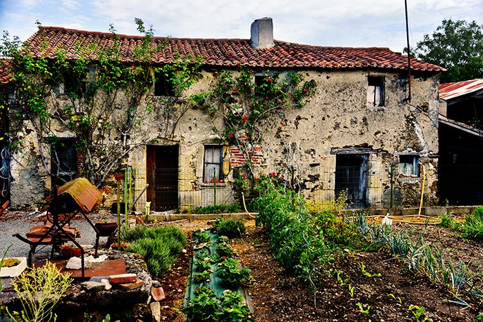 vegetable_garden_france-b501ea5eb4f3b0da997b348deb502c45d8cbb114