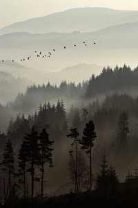 2d7e06ddd0fb9fa87f51b9a2a20639bc