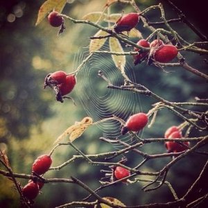 b257f65d14bbcb0ed196ed5de535a9e6