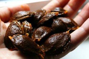 957a629254e19809e3945ccc9fb8a4bf